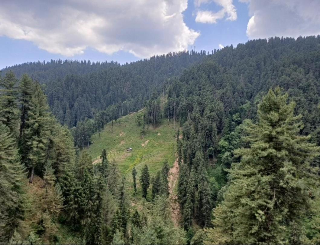 Mystic Forest View Kasauli I Serviced Villa I Best Seller I Vacations I Family Events I Open Air Lawn I Sky Bonfire I Kasauli By Exotic Stays 외부 사진