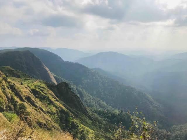 Mystic Forest View Kasauli I Serviced Villa I Best Seller I Vacations I Family Events I Open Air Lawn I Sky Bonfire I Kasauli By Exotic Stays 외부 사진