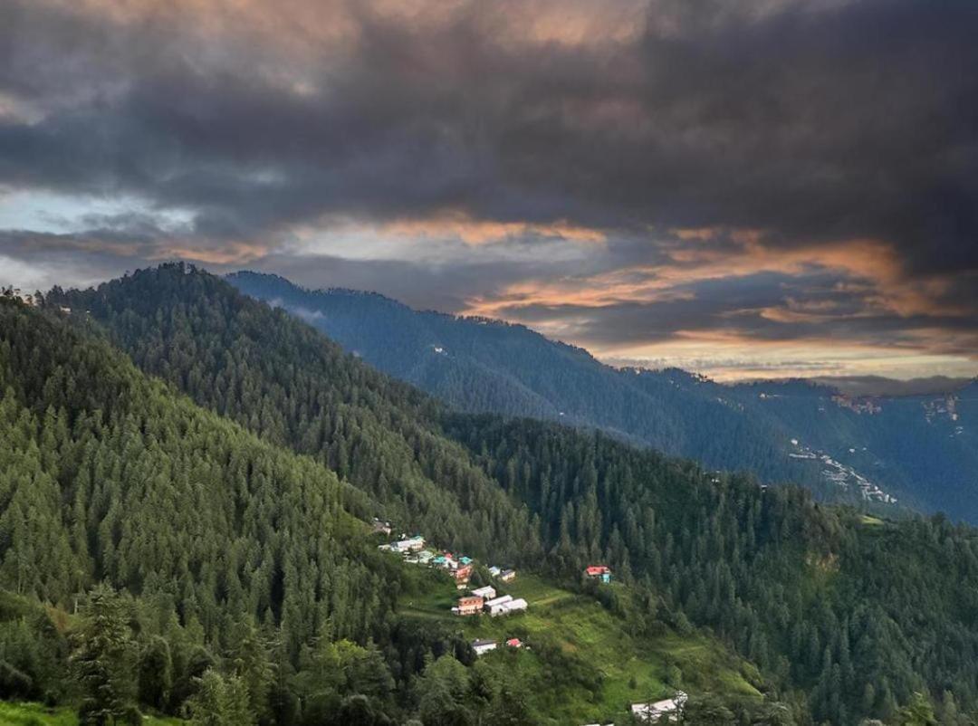 Mystic Forest View Kasauli I Serviced Villa I Best Seller I Vacations I Family Events I Open Air Lawn I Sky Bonfire I Kasauli By Exotic Stays 외부 사진